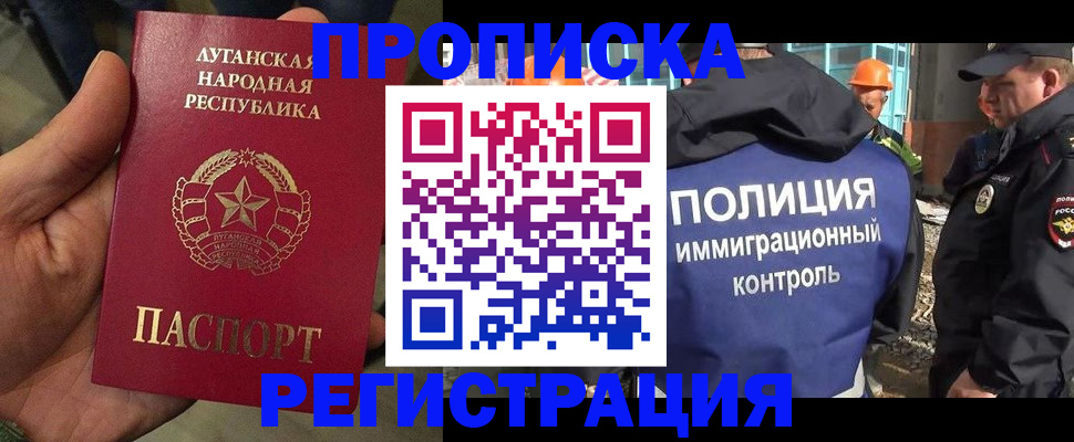 прописка поиск в Волхове